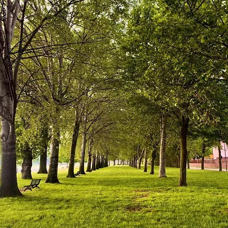 Un Passo Dal Castiglione del Lago